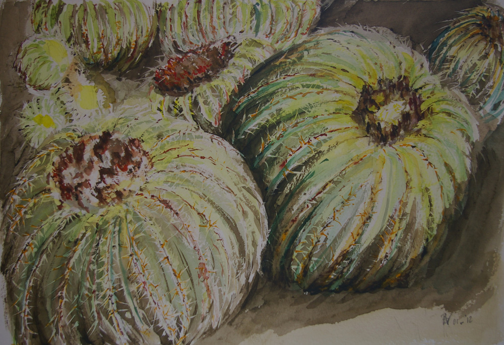 Mother in law's cushion